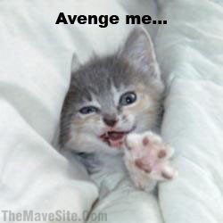 Avenge Me Lolcat